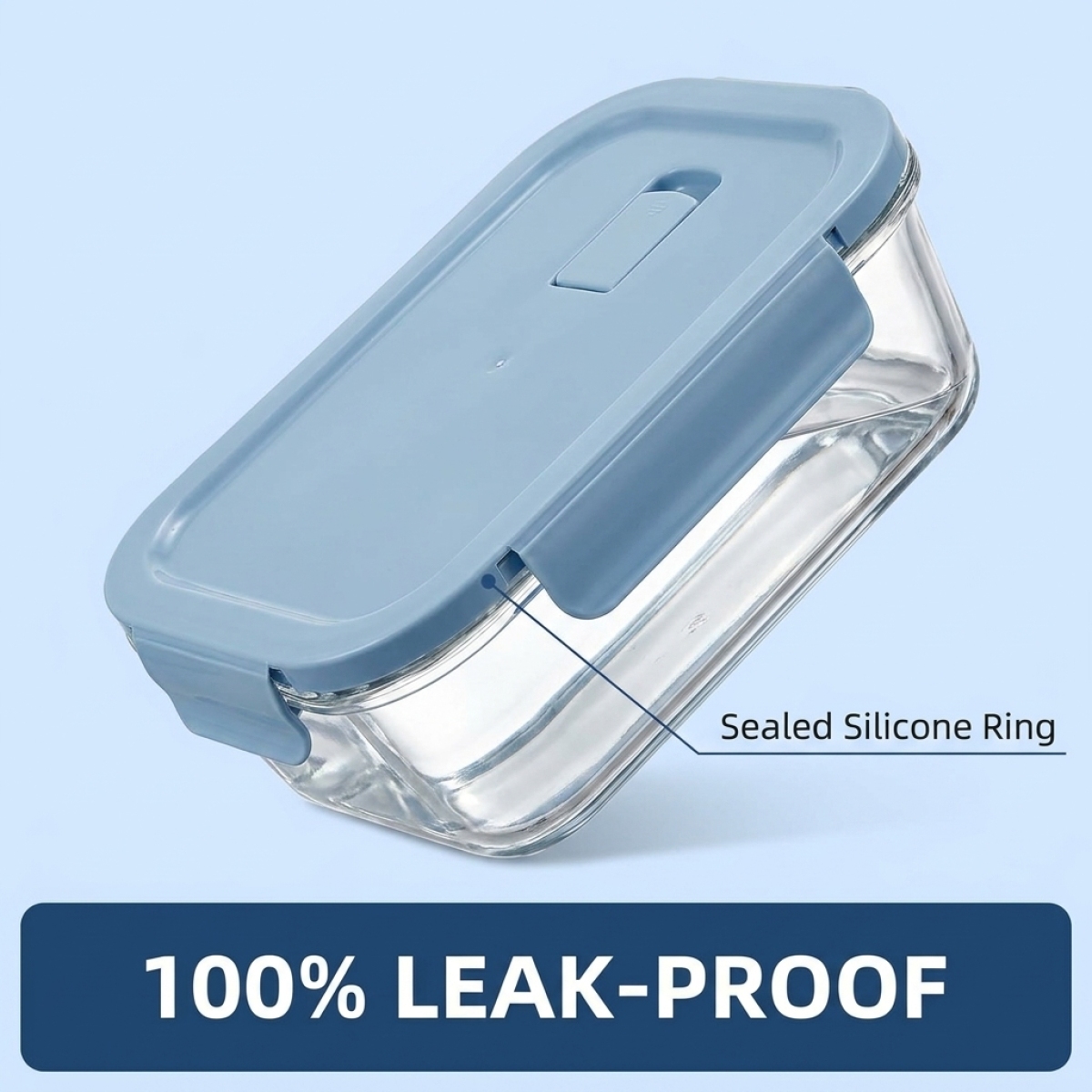 2 Pack Glass Lunch Box Borosil - đánh giá và giá Meal Prep Gym