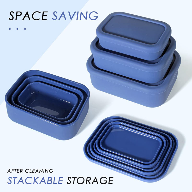 Leak-Resistant Bento Lunch Box - đánh giá và giá Meal Prep Box