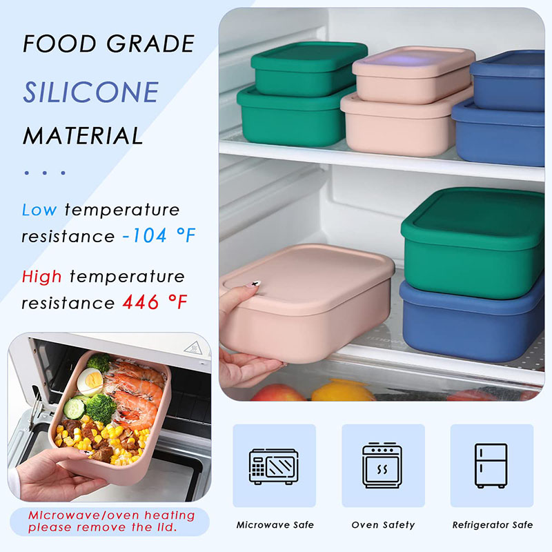 Leak-Resistant Bento Lunch Box - đánh giá và giá Meal Prep Box